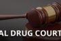 DTPM Recognizes National Drug Court Month