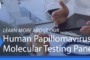 DTPM's Human Papillomavirus HPV Molecular Testing Panel